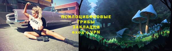 СК Алексин