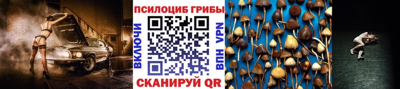 Галлюциногенные грибы ЛСД  наркота  кракен   Люберцы 