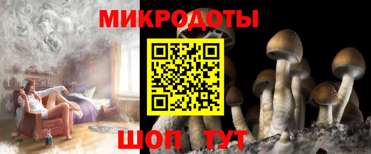 Люберцы  Псилоцибиновые грибы Psilocybe  Вход с VPN  Псилоцибиновые грибы Cubensis 